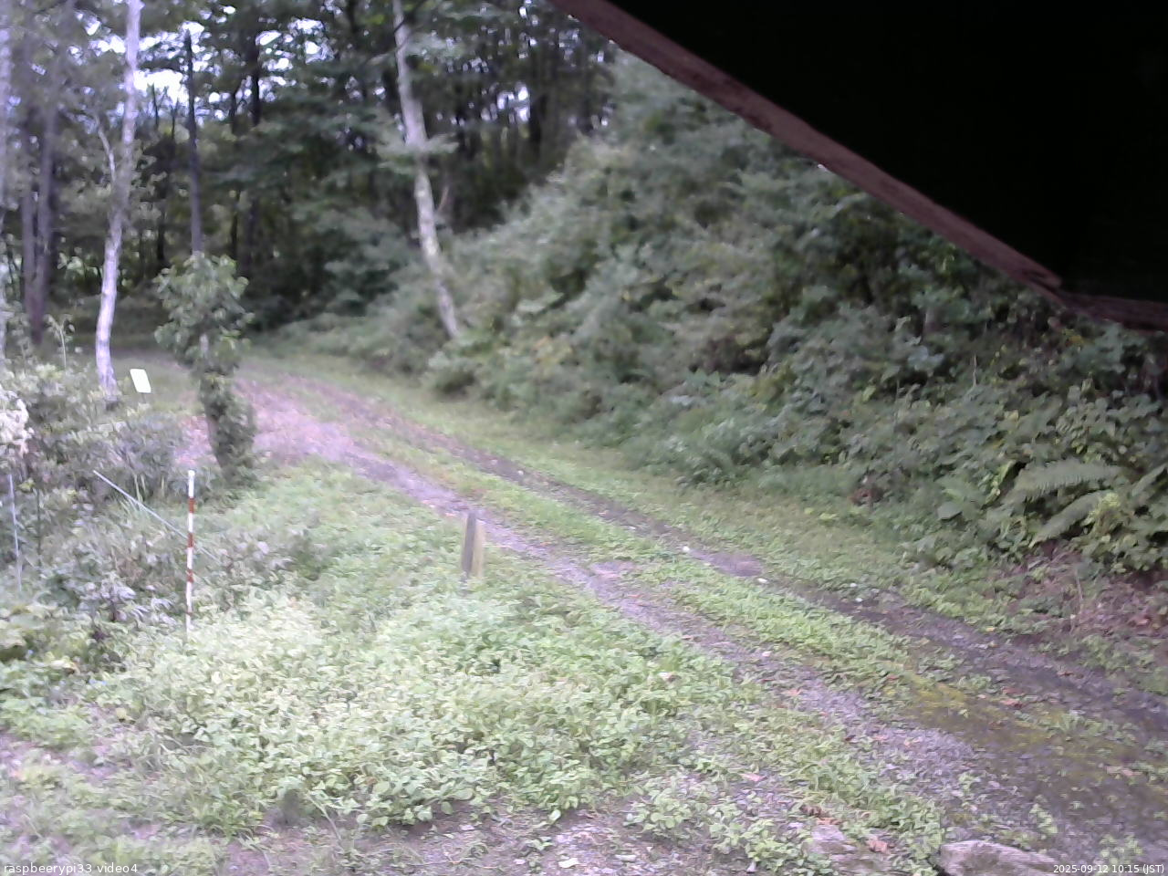 長野県菅平高原 ゆたか山荘 東側(坂下) 2025/09/12 10:15