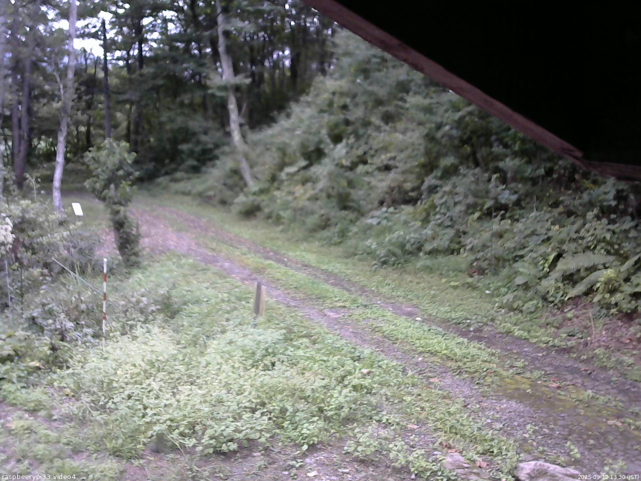長野県菅平高原 ゆたか山荘 東側(坂下) 2025/09/12 13:30