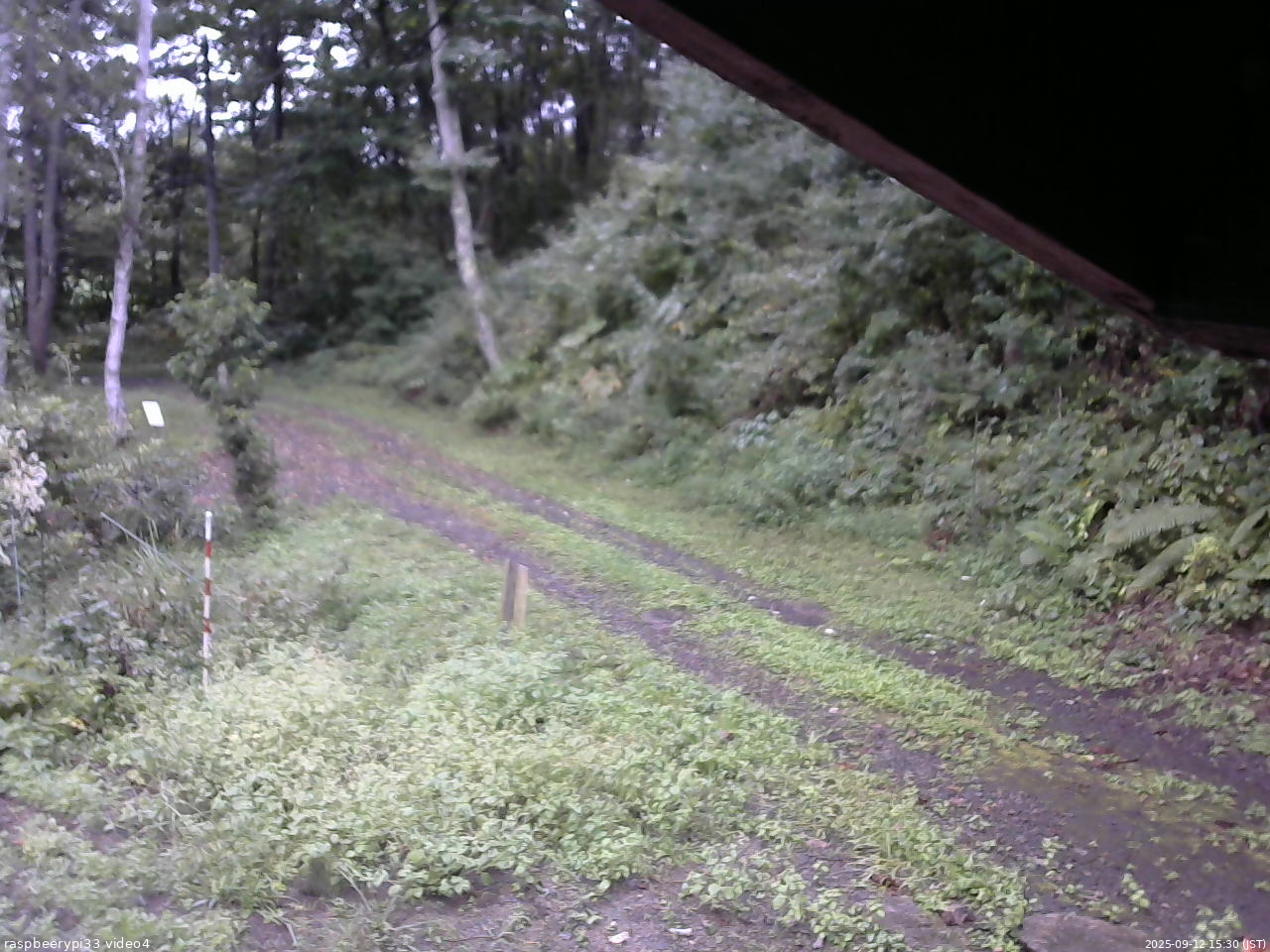 長野県菅平高原 ゆたか山荘 東側(坂下) 2025/09/12 15:30