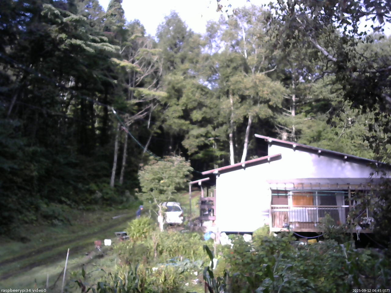 長野県菅平高原 ゆたか山荘 西側(坂上) 2025/09/12 06:45
