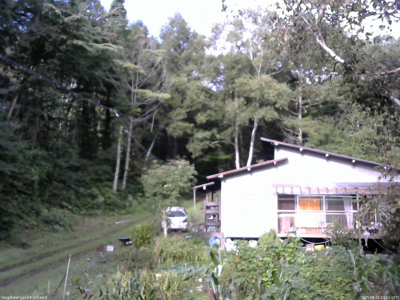 長野県菅平高原 ゆたか山荘 西側(坂上) 2025/09/12 07:15