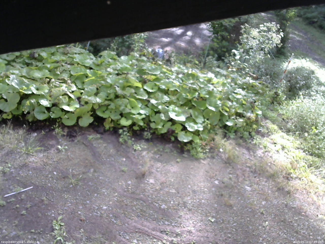 長野県菅平高原 ゆたか山荘 駐車場 2025/09/12 07:45