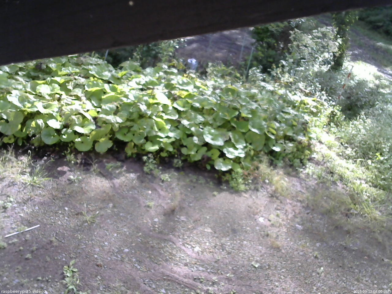長野県菅平高原 ゆたか山荘 駐車場 2025/09/12 08:00