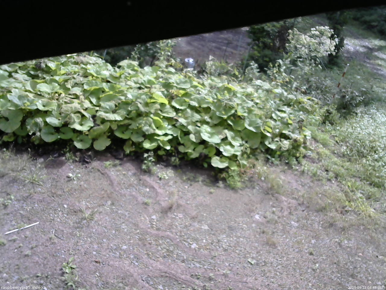 長野県菅平高原 ゆたか山荘 駐車場 2025/09/12 08:45