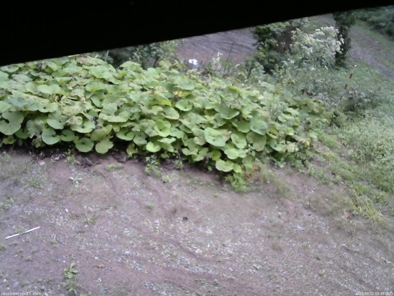 長野県菅平高原 ゆたか山荘 駐車場 2025/09/12 09:45