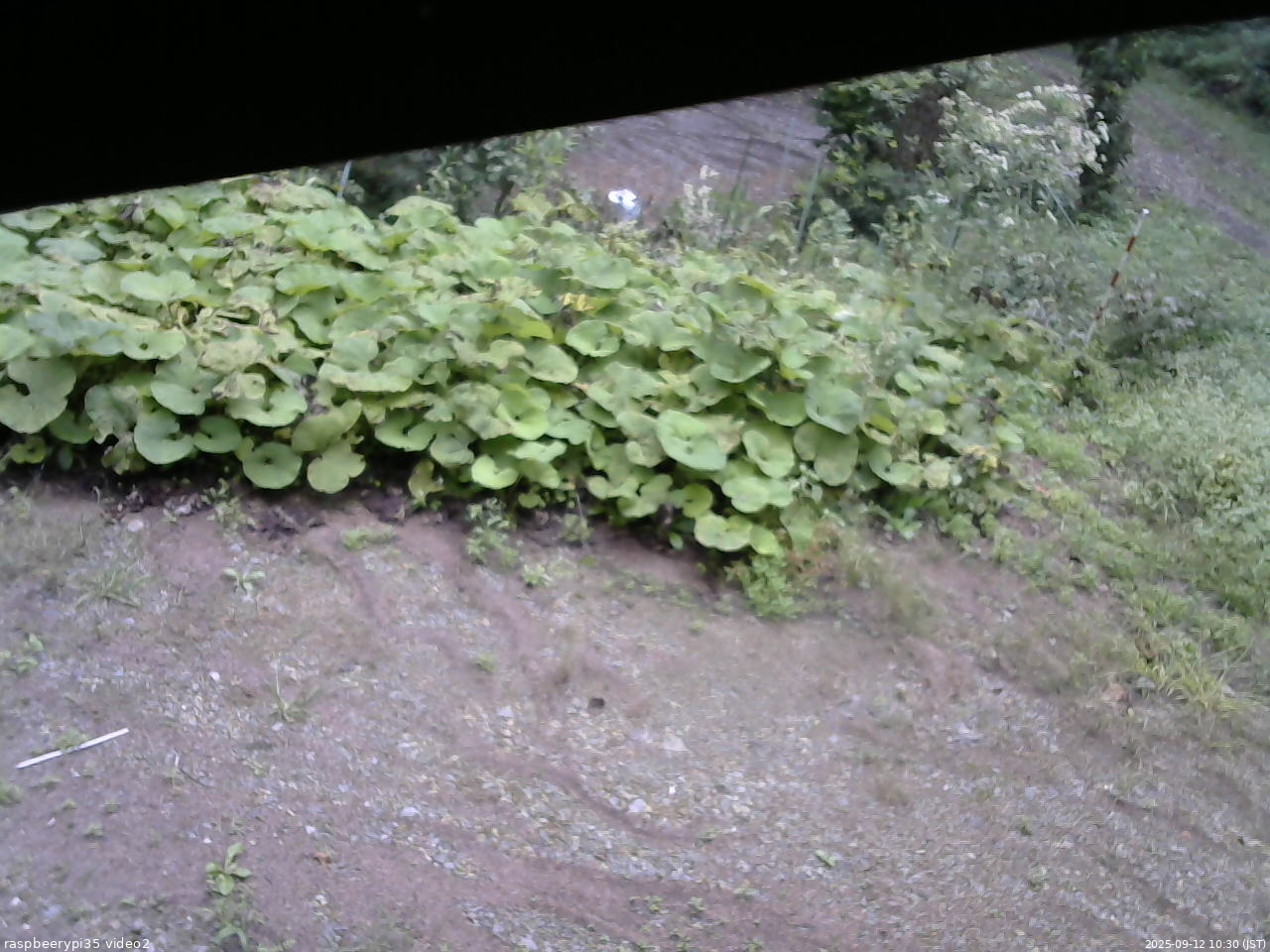 長野県菅平高原 ゆたか山荘 駐車場 2025/09/12 10:30