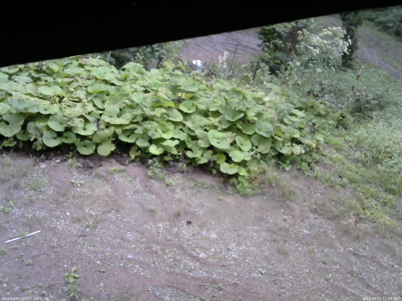 長野県菅平高原 ゆたか山荘 駐車場 2025/09/12 11:00