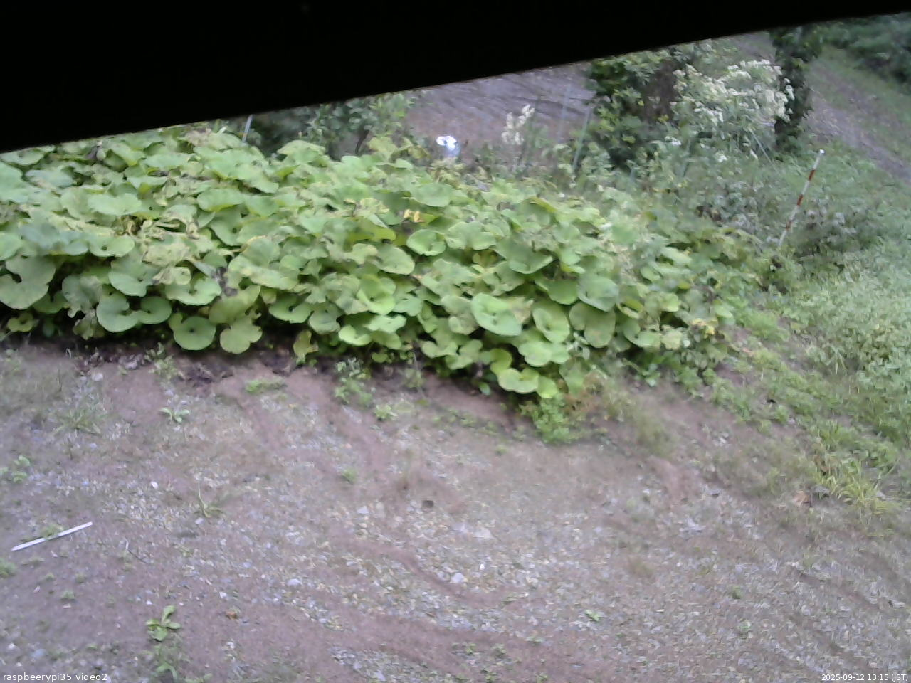 長野県菅平高原 ゆたか山荘 駐車場 2025/09/12 13:15