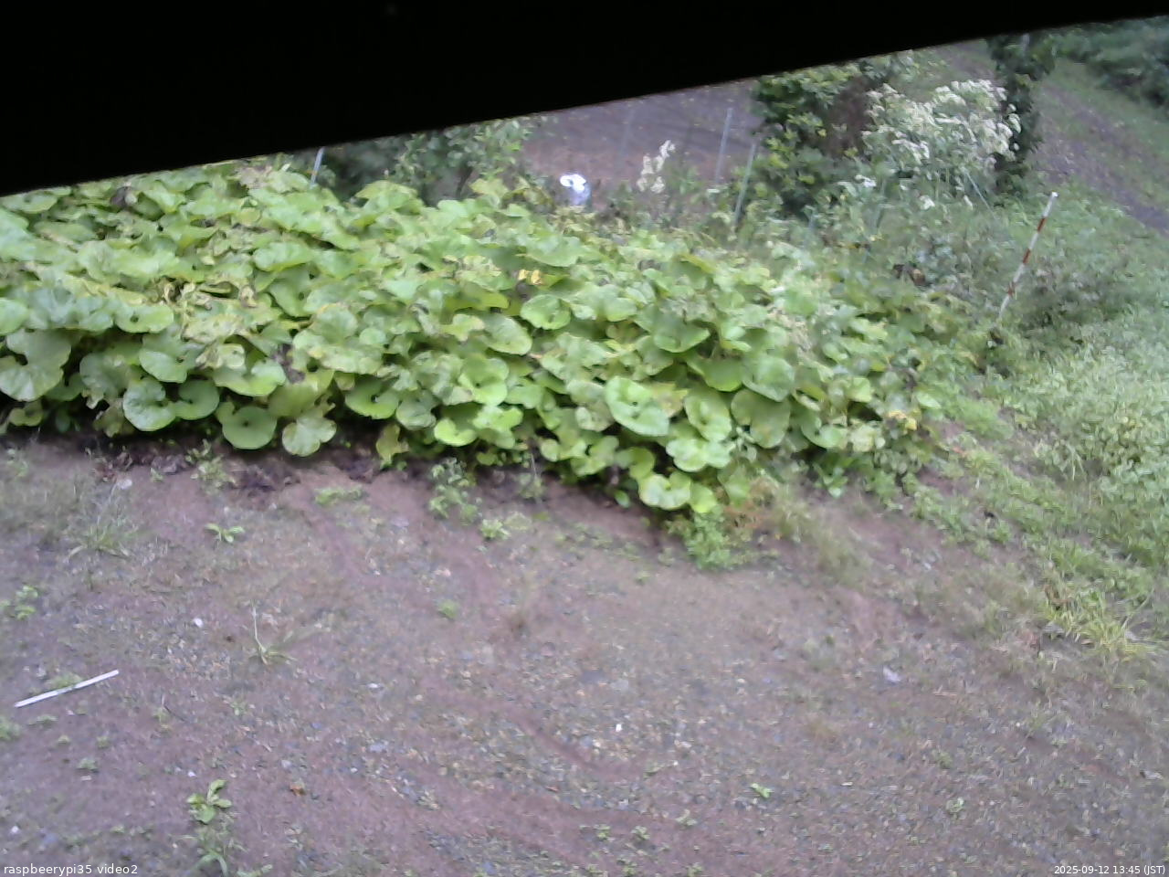 長野県菅平高原 ゆたか山荘 駐車場 2025/09/12 13:45