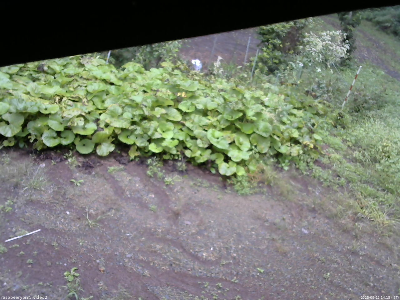 長野県菅平高原 ゆたか山荘 駐車場 2025/09/12 14:15