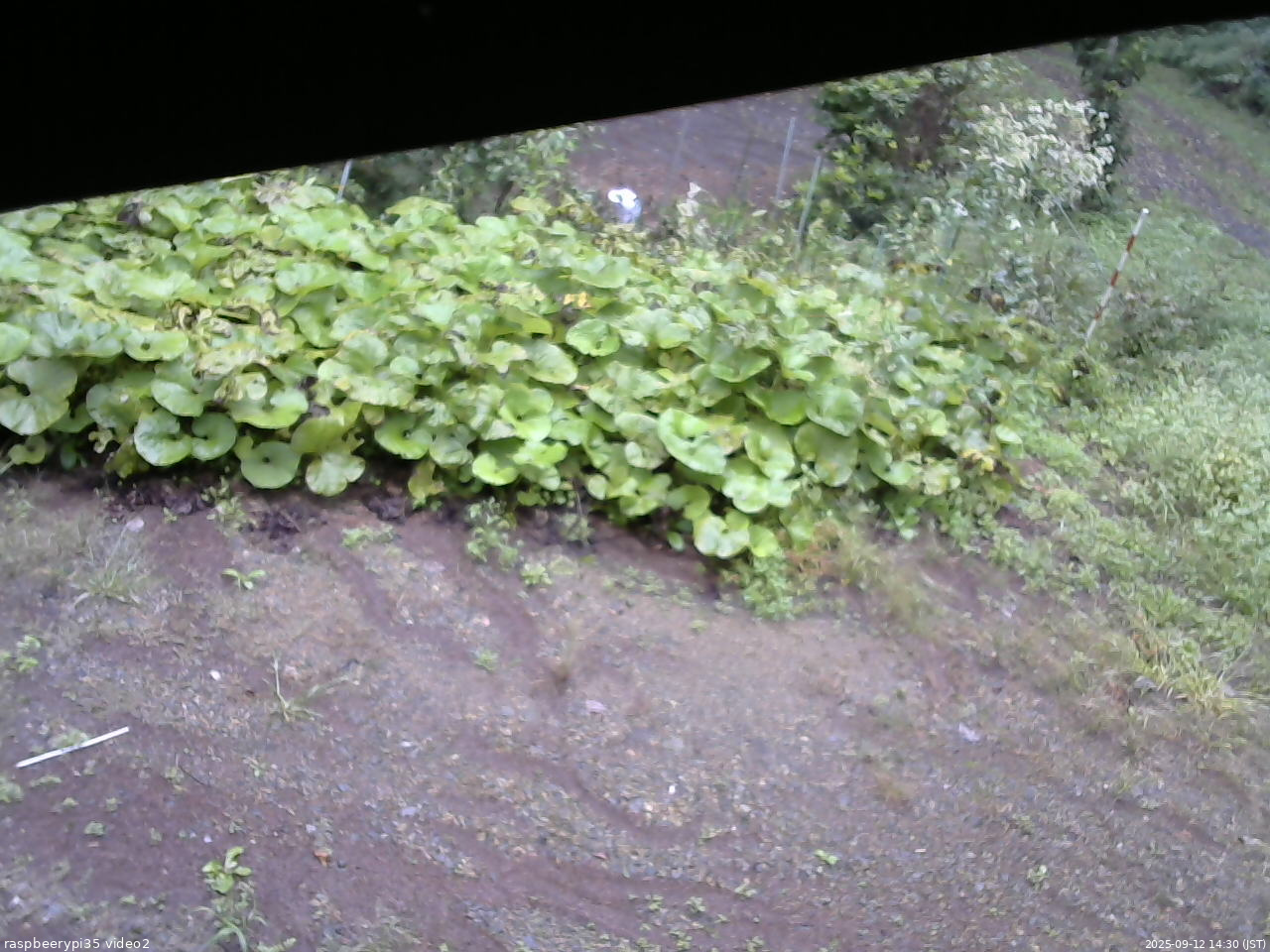 長野県菅平高原 ゆたか山荘 駐車場 2025/09/12 14:30