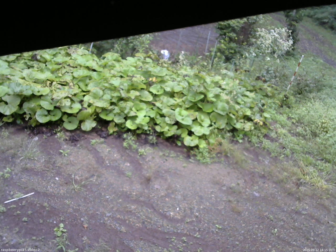 長野県菅平高原 ゆたか山荘 駐車場 2025/09/12 16:15