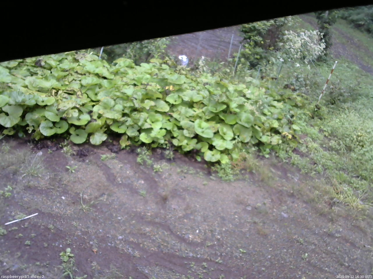 長野県菅平高原 ゆたか山荘 駐車場 2025/09/12 16:30