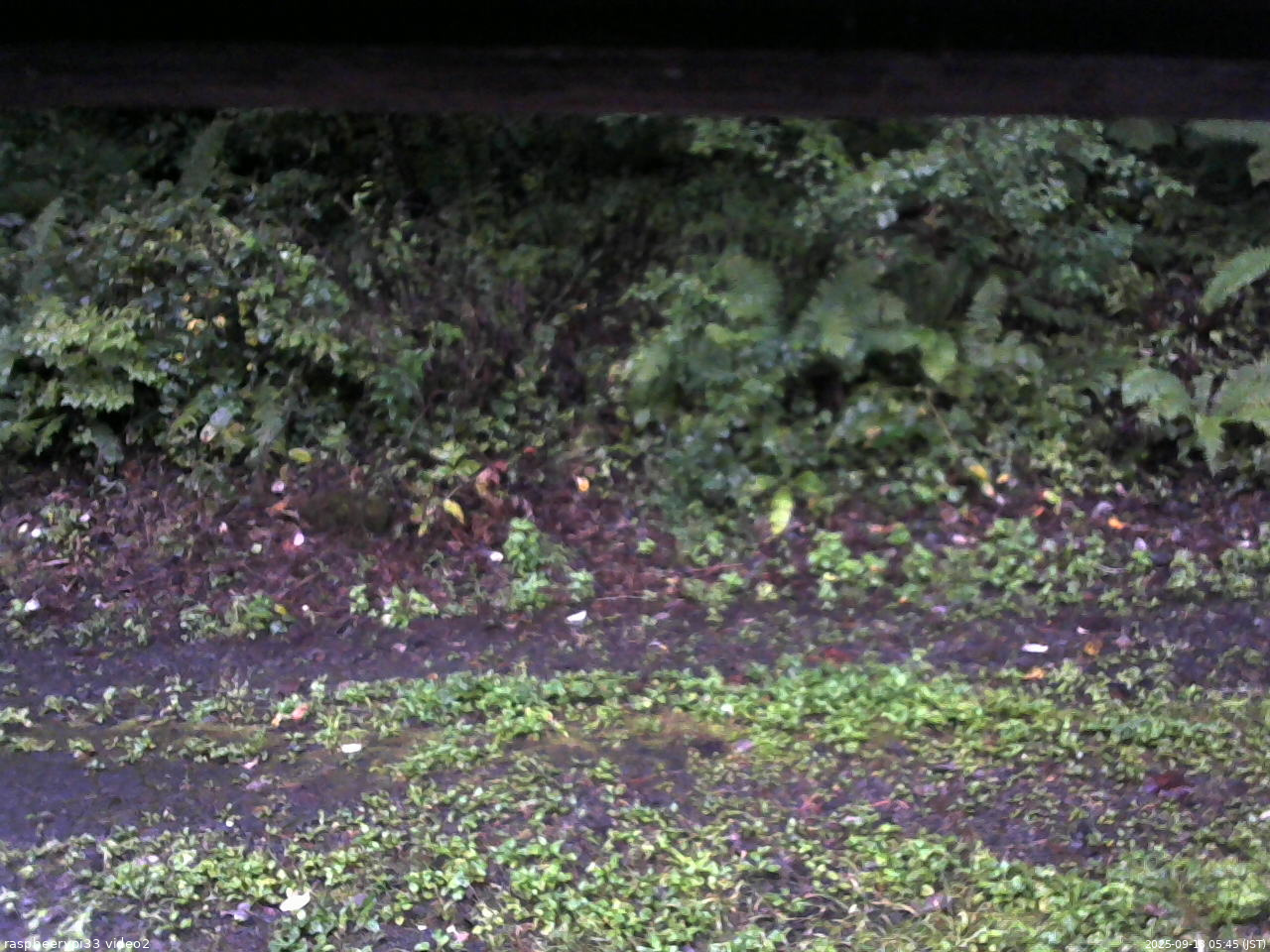 長野県菅平高原 ゆたか山荘 南側 2025/09/13 05:45