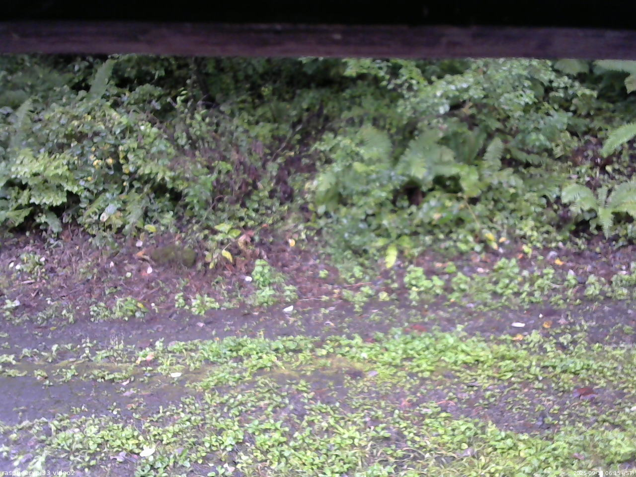 長野県菅平高原 ゆたか山荘 南側 2025/09/13 06:15