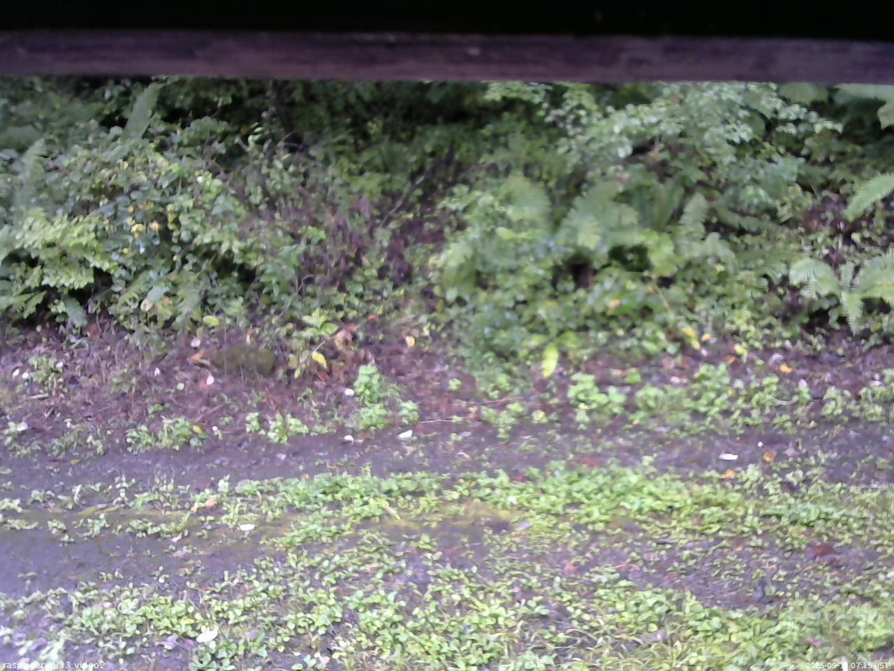 長野県菅平高原 ゆたか山荘 南側 2025/09/13 07:15
