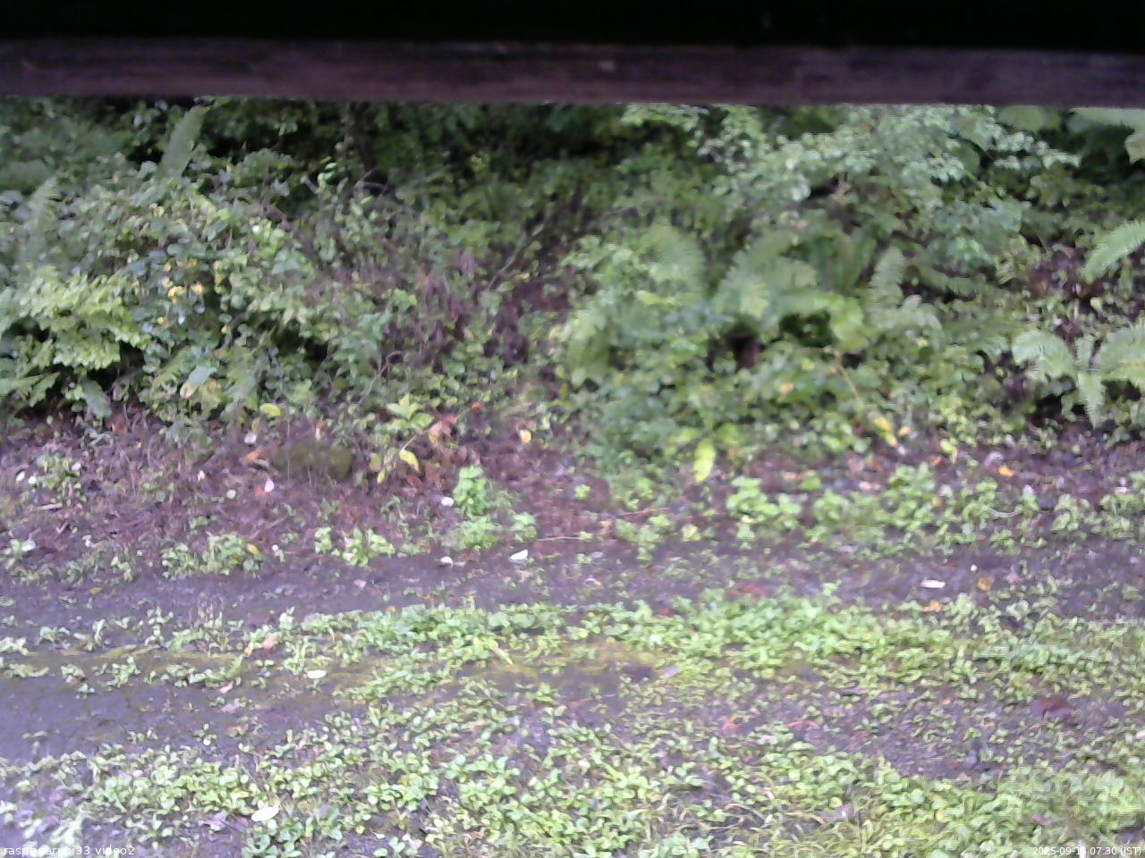 長野県菅平高原 ゆたか山荘 南側 2025/09/13 07:30