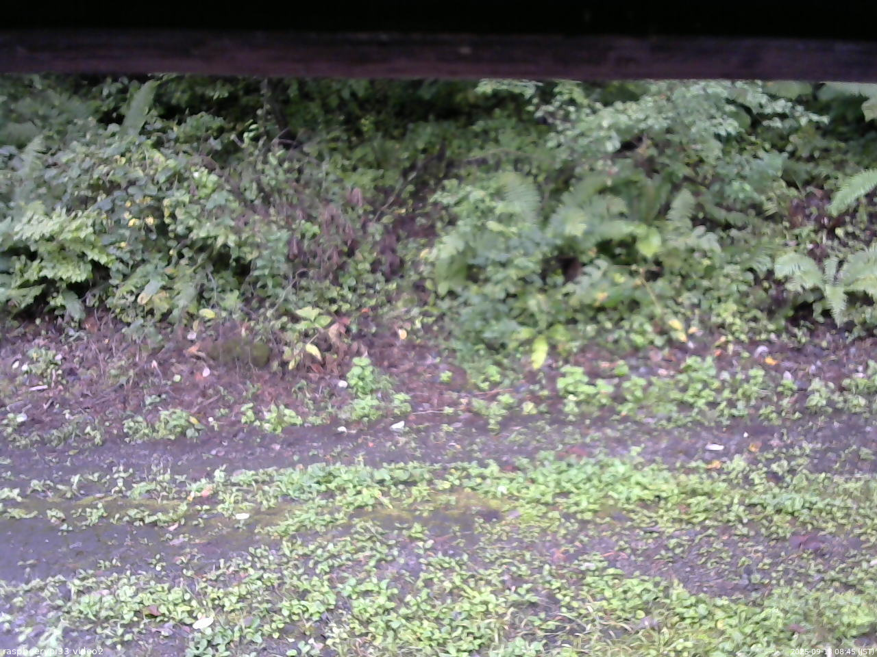 長野県菅平高原 ゆたか山荘 南側 2025/09/13 08:45