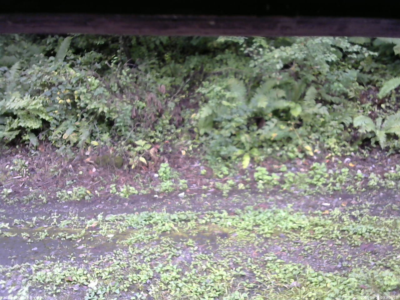 長野県菅平高原 ゆたか山荘 南側 2025/09/13 09:30