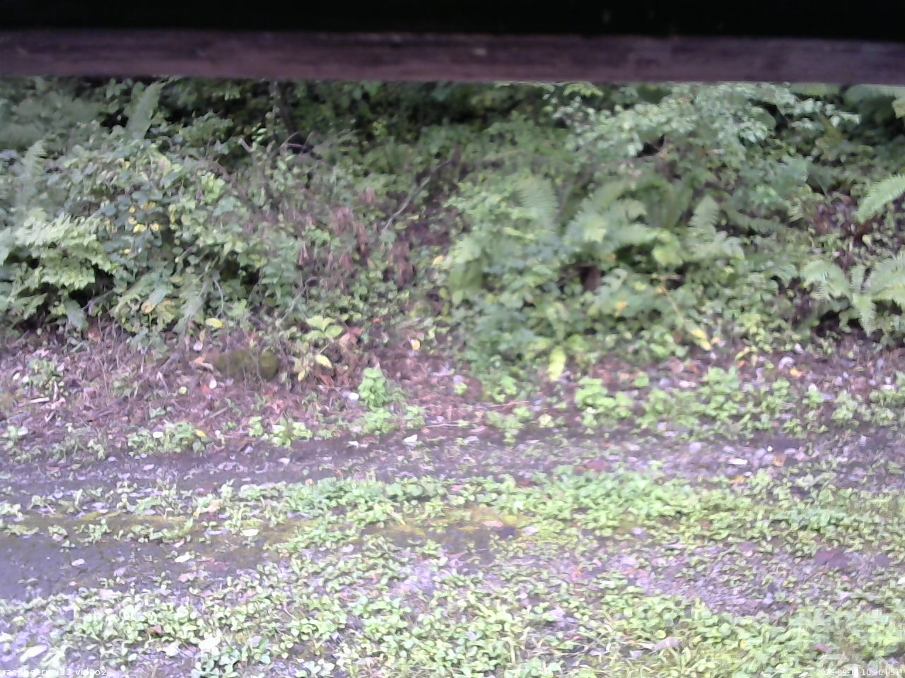 長野県菅平高原 ゆたか山荘 南側 2025/09/13 10:30