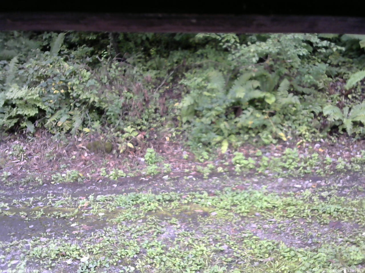 長野県菅平高原 ゆたか山荘 南側 2025/09/13 11:30