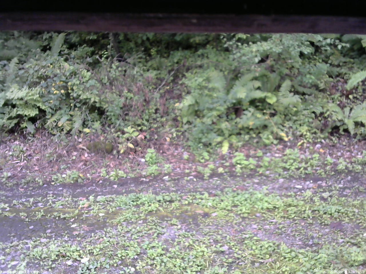 長野県菅平高原 ゆたか山荘 南側 2025/09/13 12:15