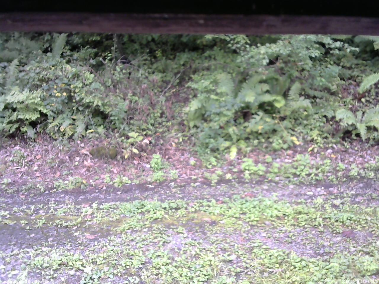 長野県菅平高原 ゆたか山荘 南側 2025/09/13 13:45