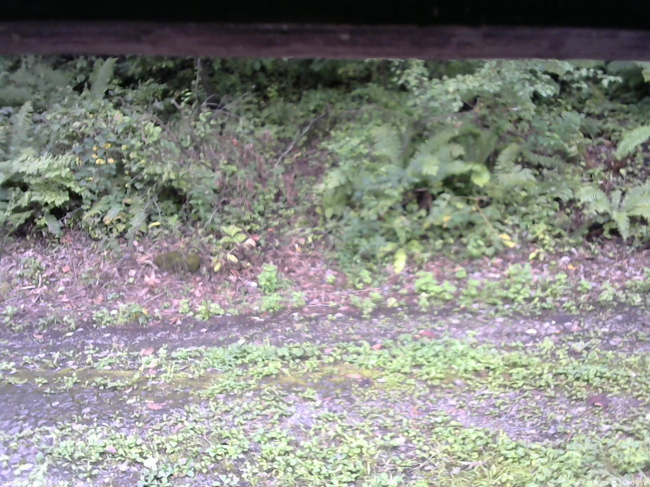 長野県菅平高原 ゆたか山荘 南側 2025/09/13 15:00