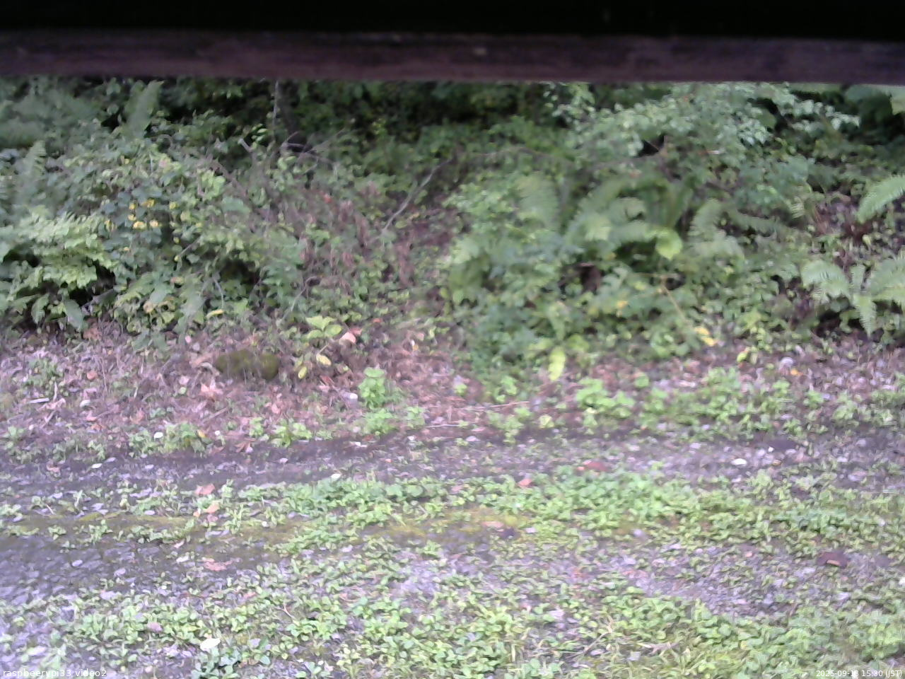 長野県菅平高原 ゆたか山荘 南側 2025/09/13 15:30