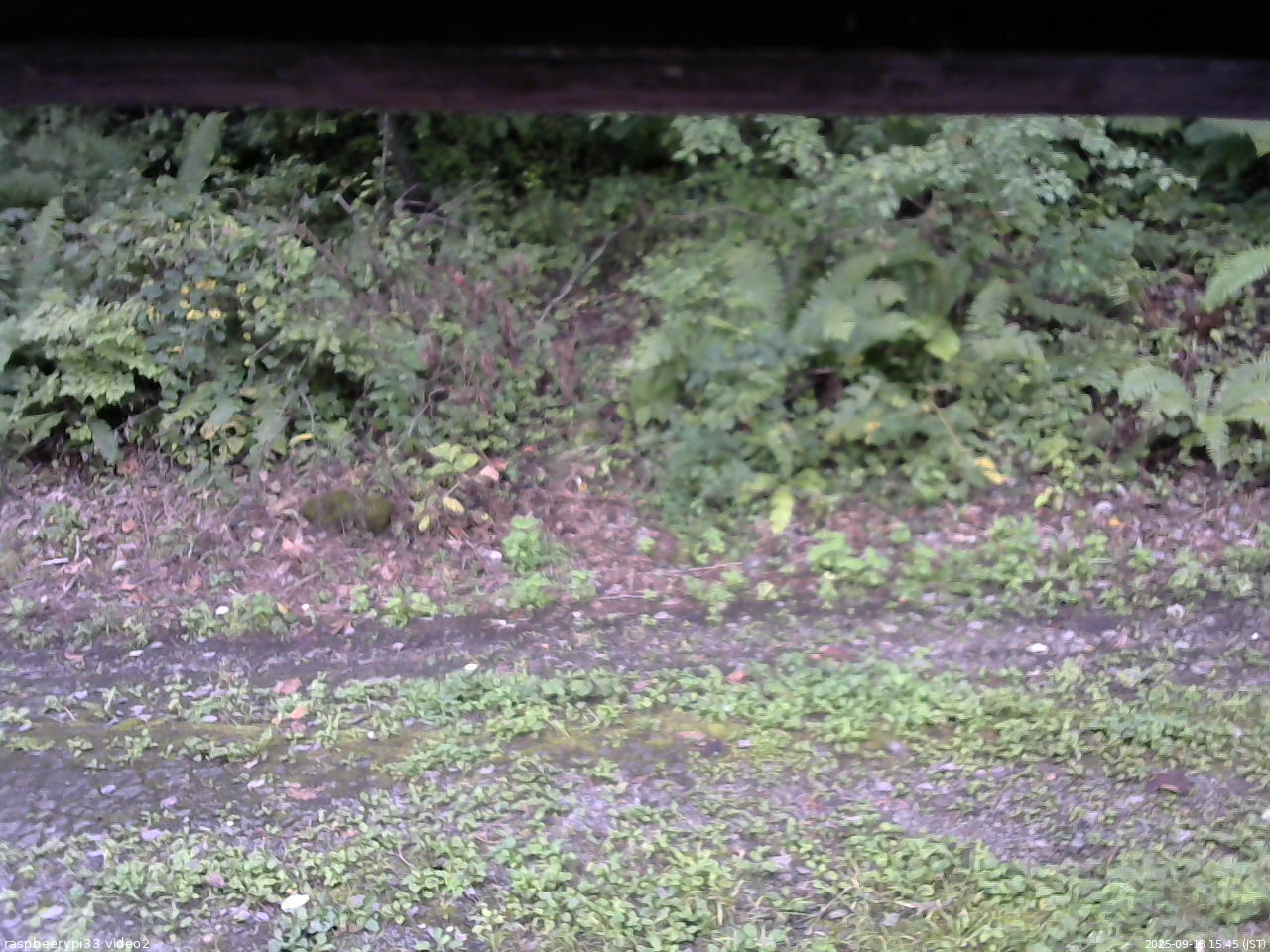 長野県菅平高原 ゆたか山荘 南側 2025/09/13 15:45