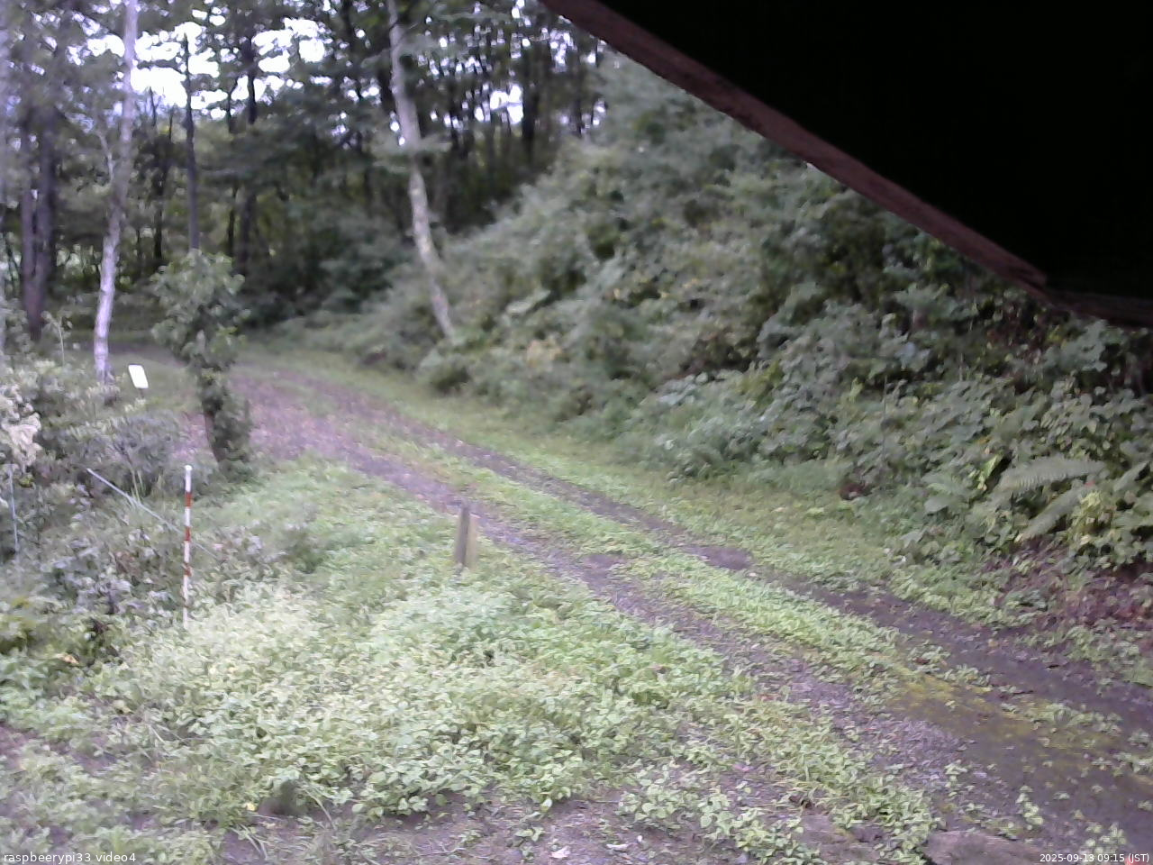 長野県菅平高原 ゆたか山荘 東側(坂下) 2025/09/13 09:15