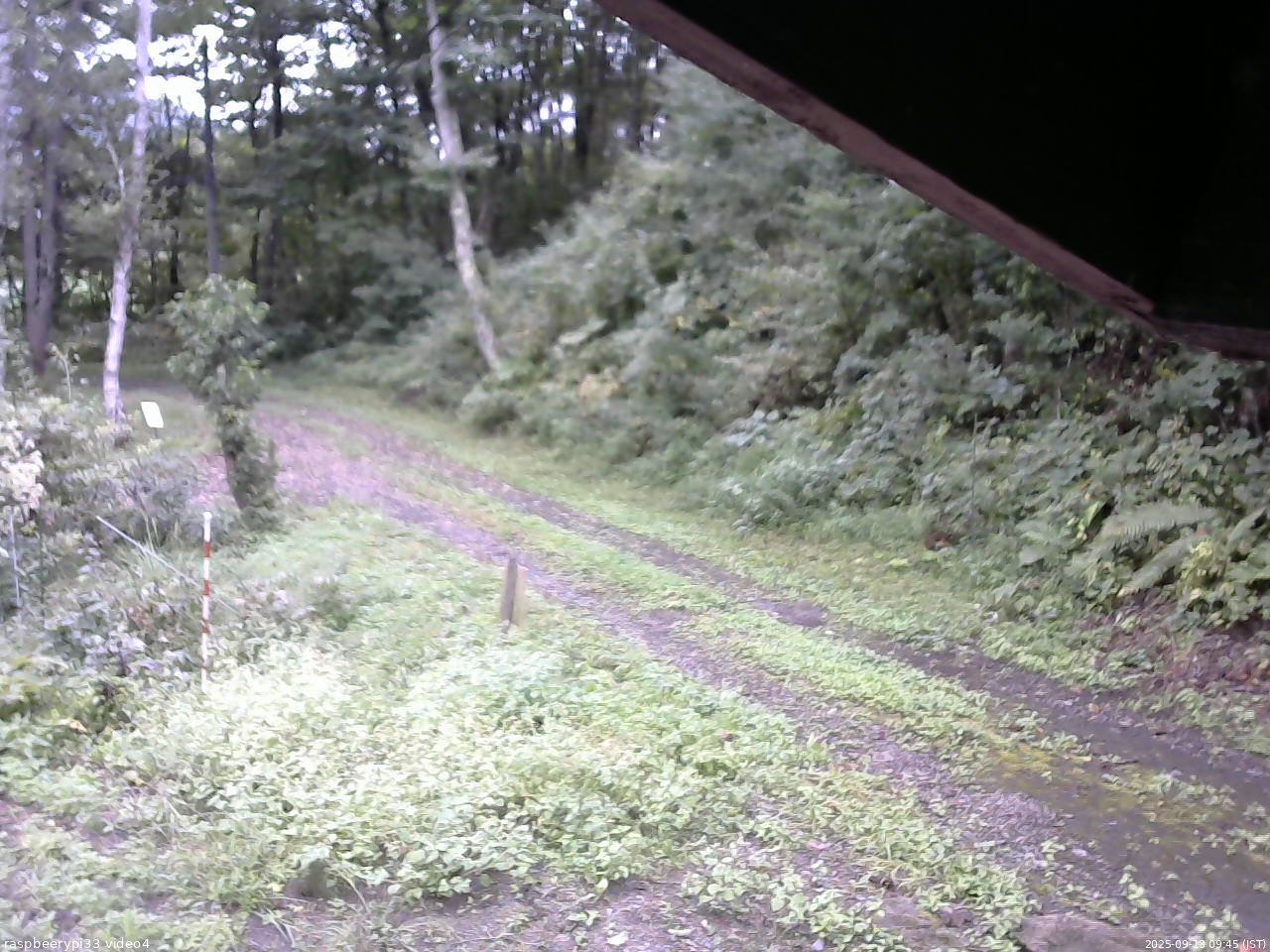 長野県菅平高原 ゆたか山荘 東側(坂下) 2025/09/13 09:45