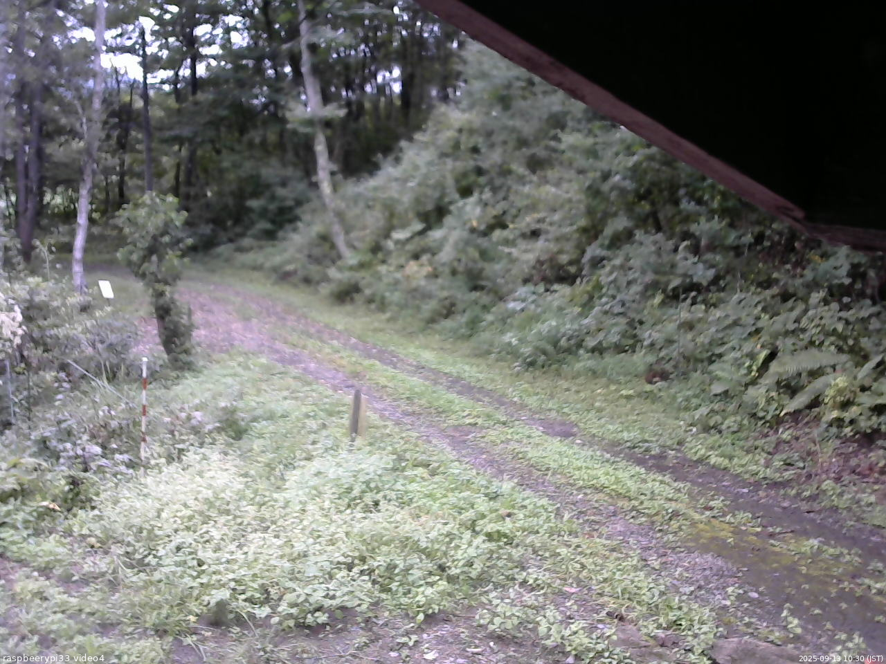長野県菅平高原 ゆたか山荘 東側(坂下) 2025/09/13 10:30