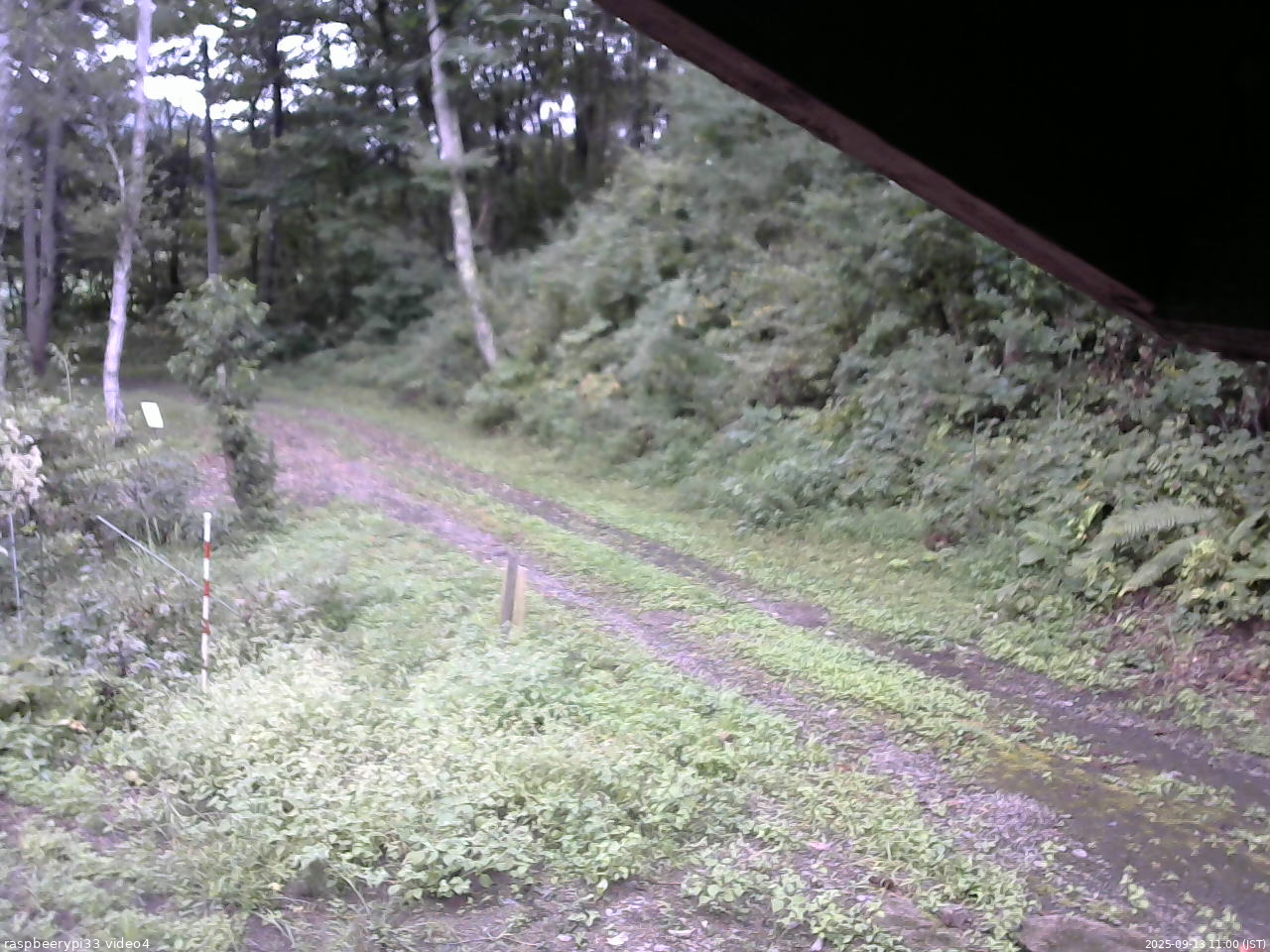 長野県菅平高原 ゆたか山荘 東側(坂下) 2025/09/13 11:00