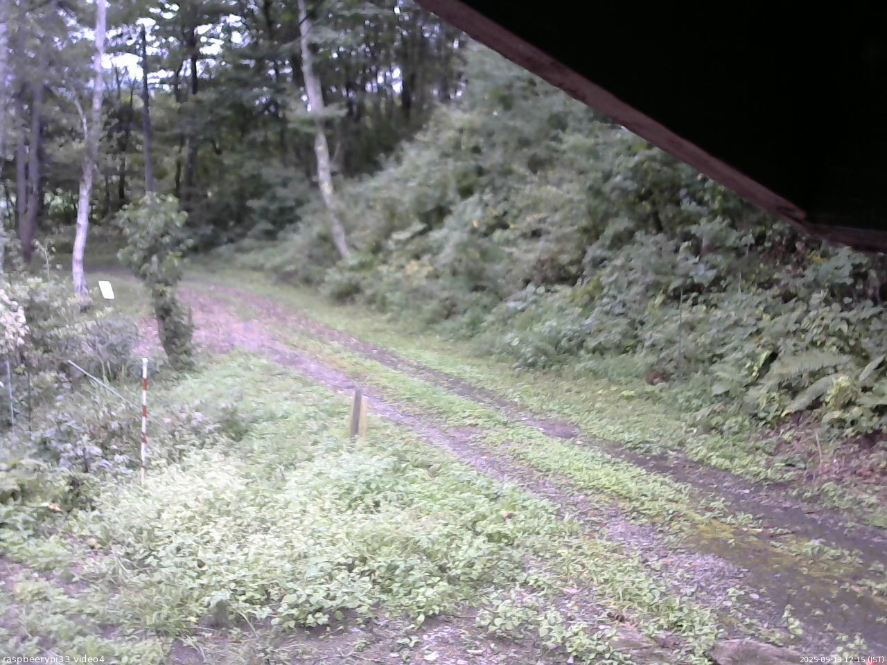 長野県菅平高原 ゆたか山荘 東側(坂下) 2025/09/13 12:15