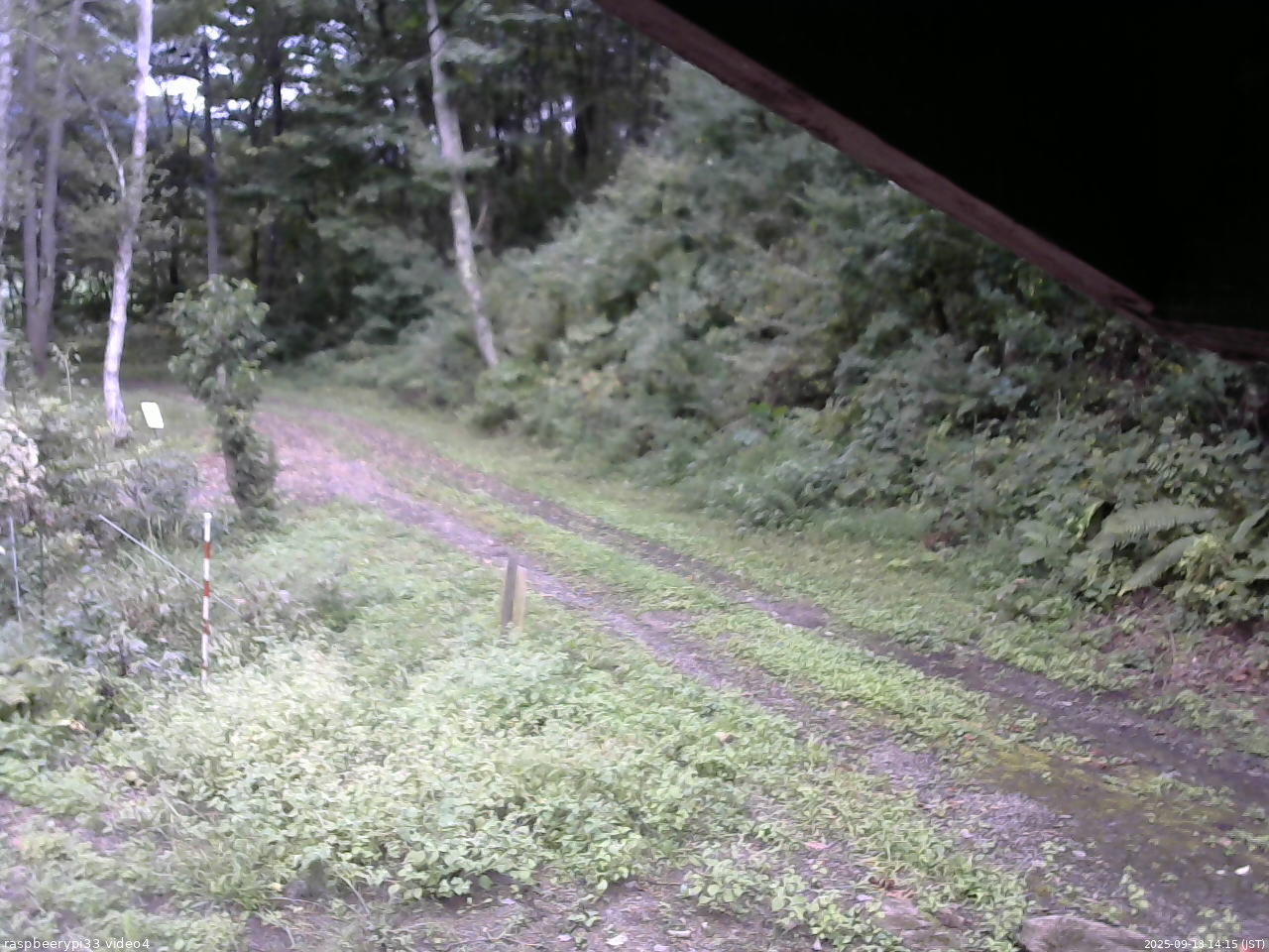 長野県菅平高原 ゆたか山荘 東側(坂下) 2025/09/13 14:15