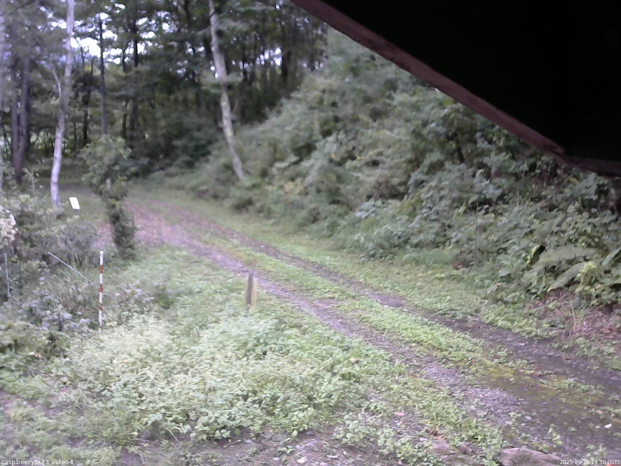 長野県菅平高原 ゆたか山荘 東側(坂下) 2025/09/13 14:30