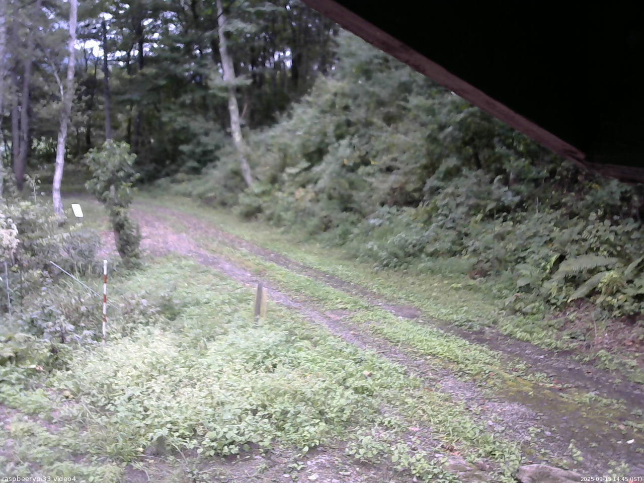 長野県菅平高原 ゆたか山荘 東側(坂下) 2025/09/13 14:45