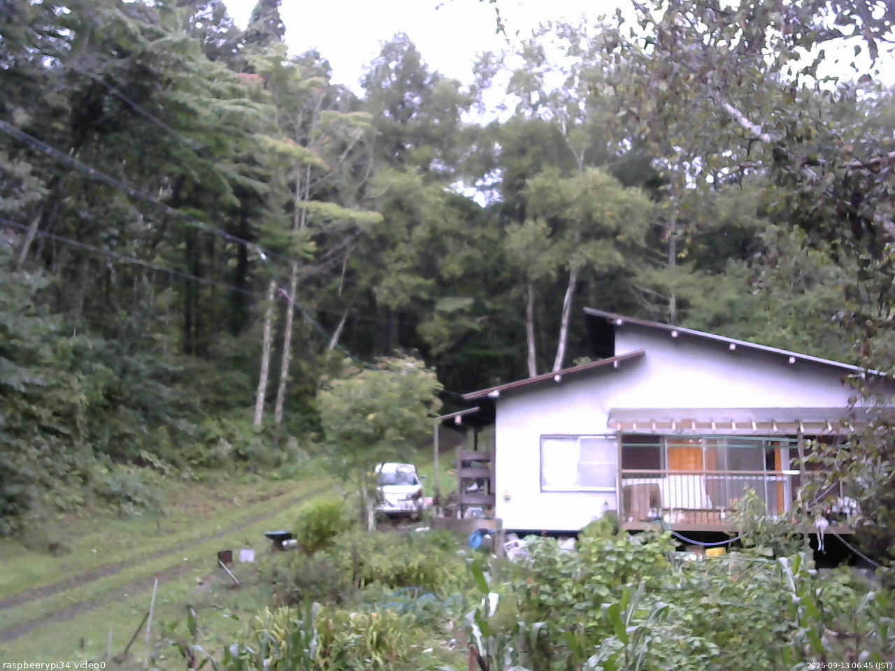 長野県菅平高原 ゆたか山荘 西側(坂上) 2025/09/13 06:45