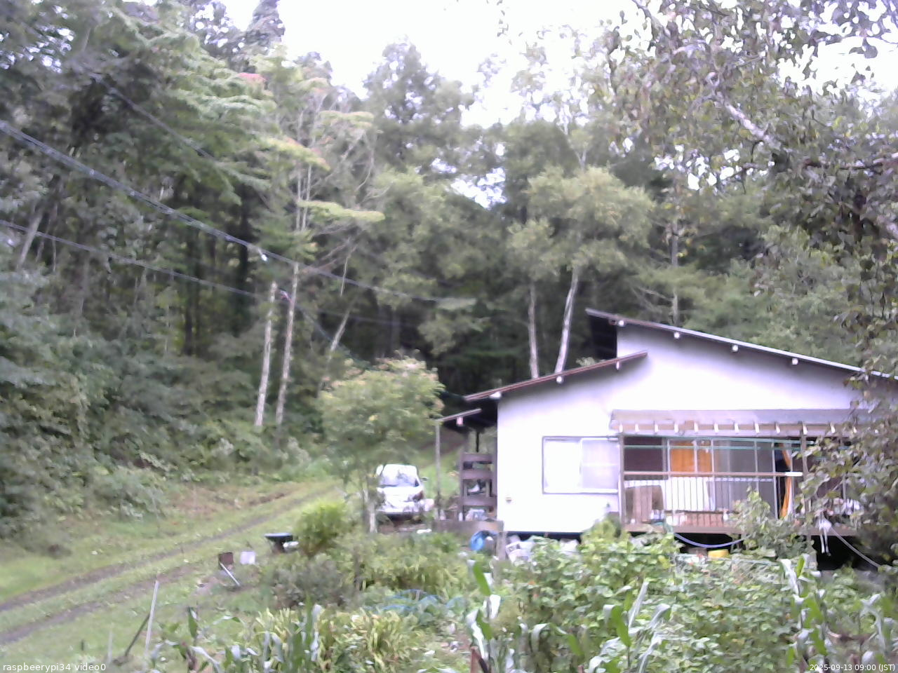 長野県菅平高原 ゆたか山荘 西側(坂上) 2025/09/13 09:00