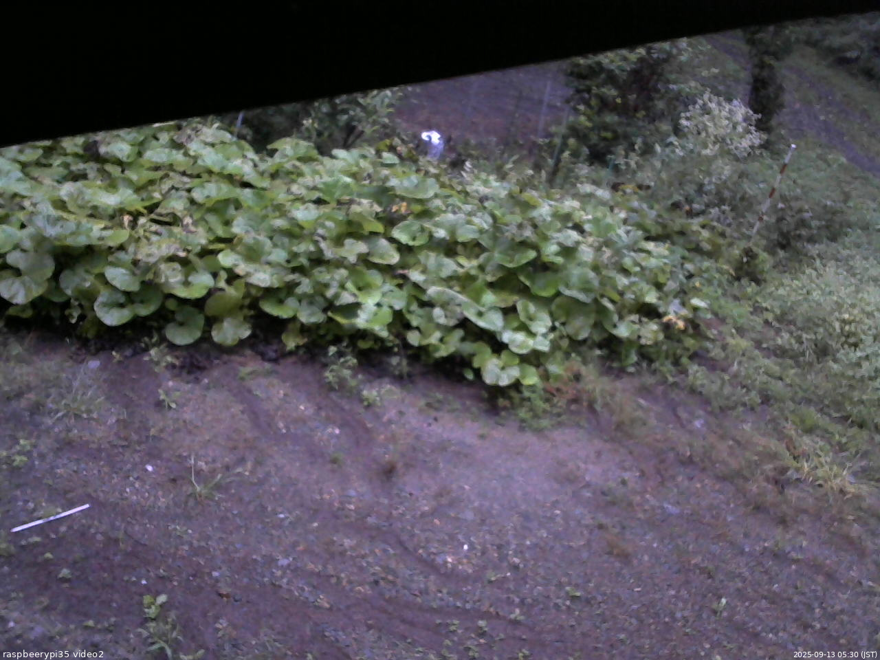 長野県菅平高原 ゆたか山荘 駐車場 2025/09/13 05:30