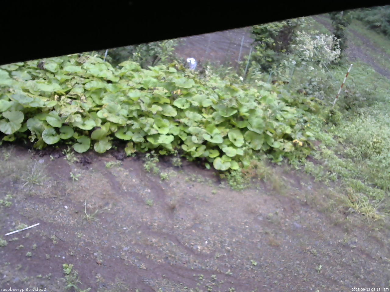 長野県菅平高原 ゆたか山荘 駐車場 2025/09/13 08:15