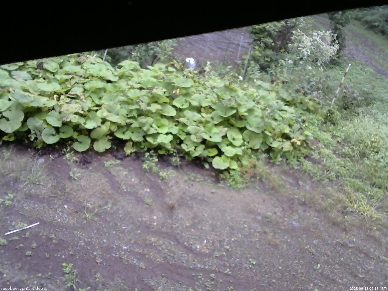 長野県菅平高原 ゆたか山荘 駐車場 2025/09/13 09:15