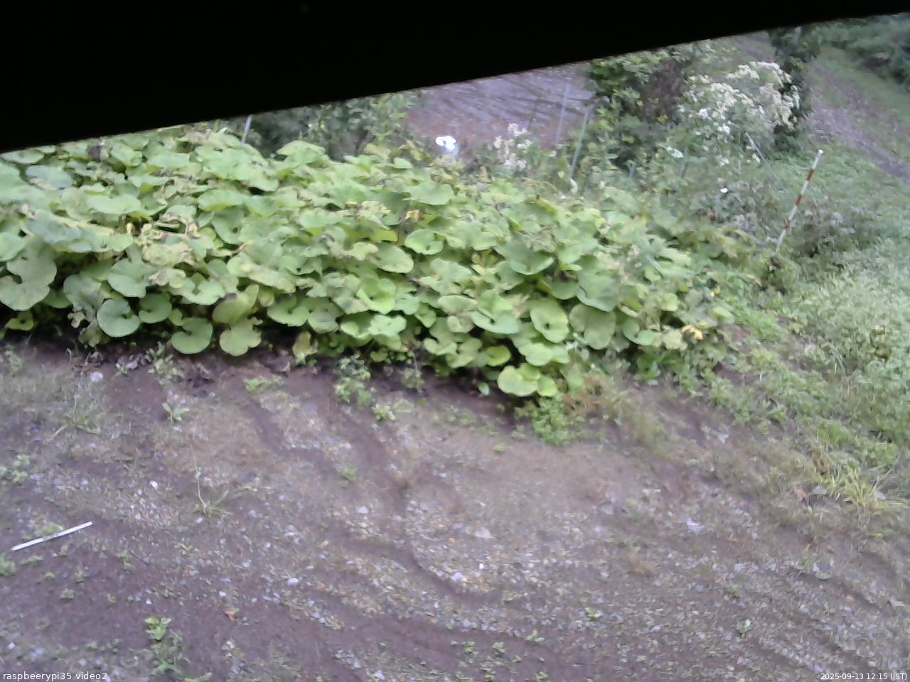 長野県菅平高原 ゆたか山荘 駐車場 2025/09/13 12:15