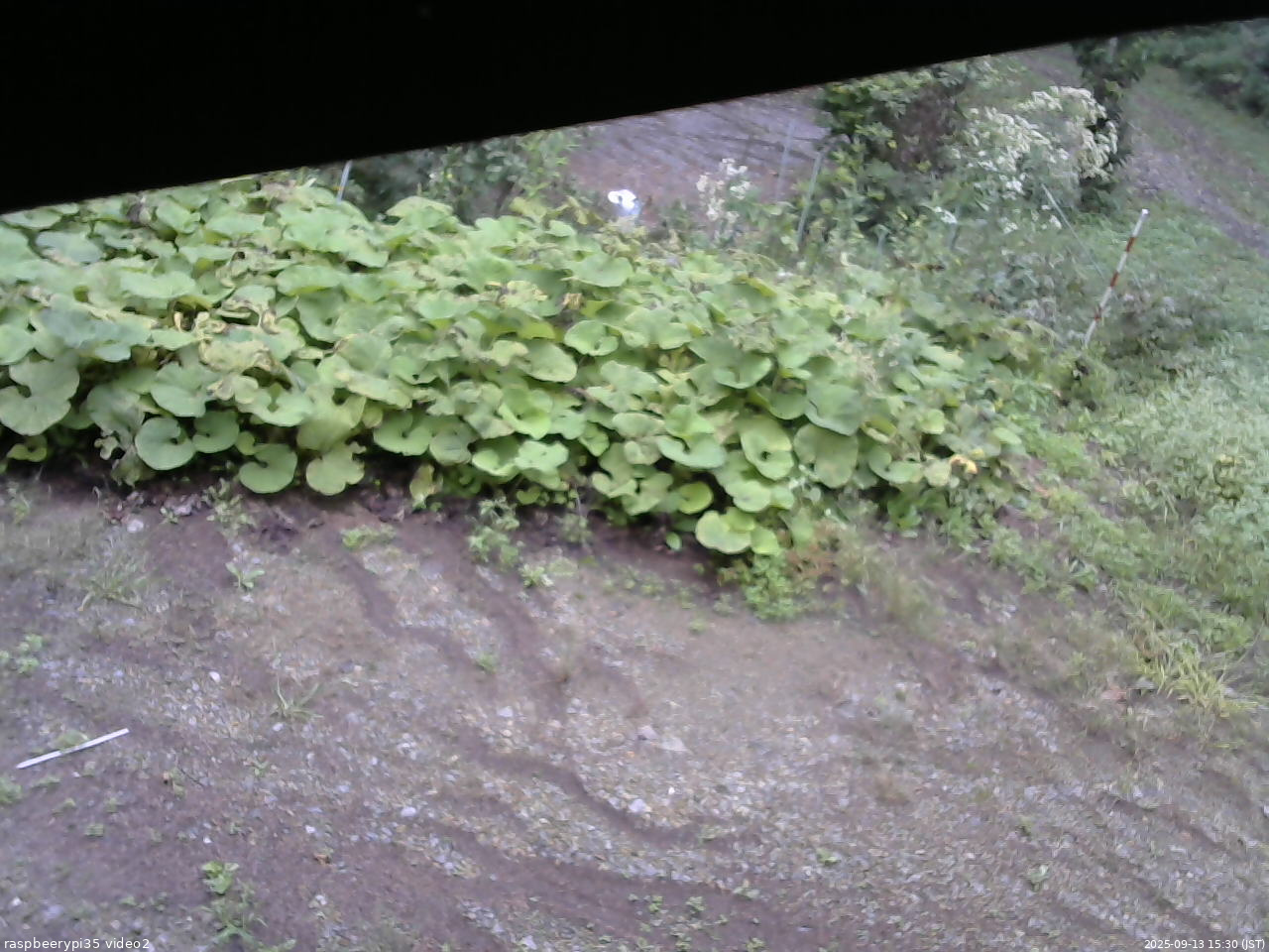 長野県菅平高原 ゆたか山荘 駐車場 2025/09/13 15:30