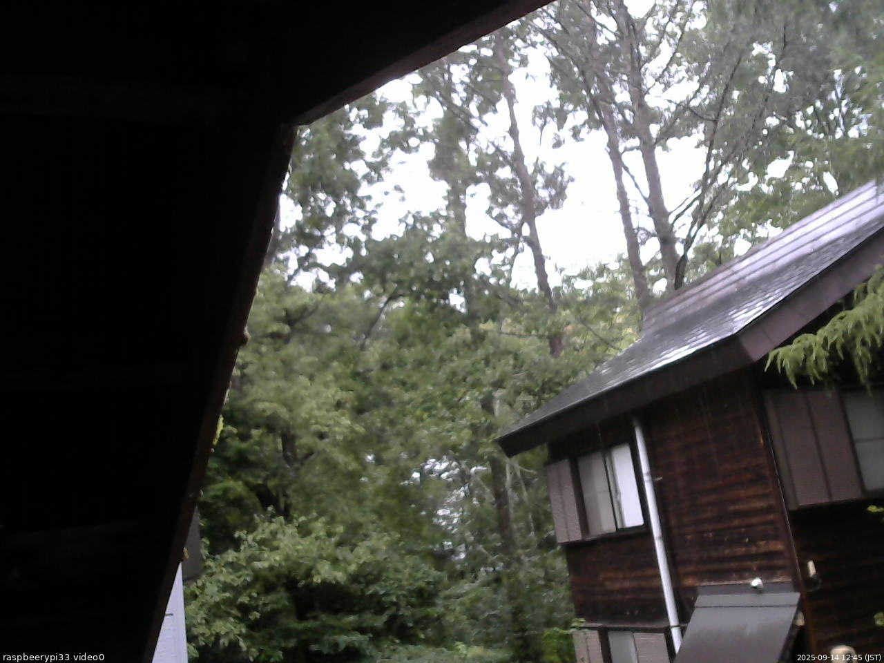長野県菅平高原 ゆたか山荘 北側 2025/09/14 12:45