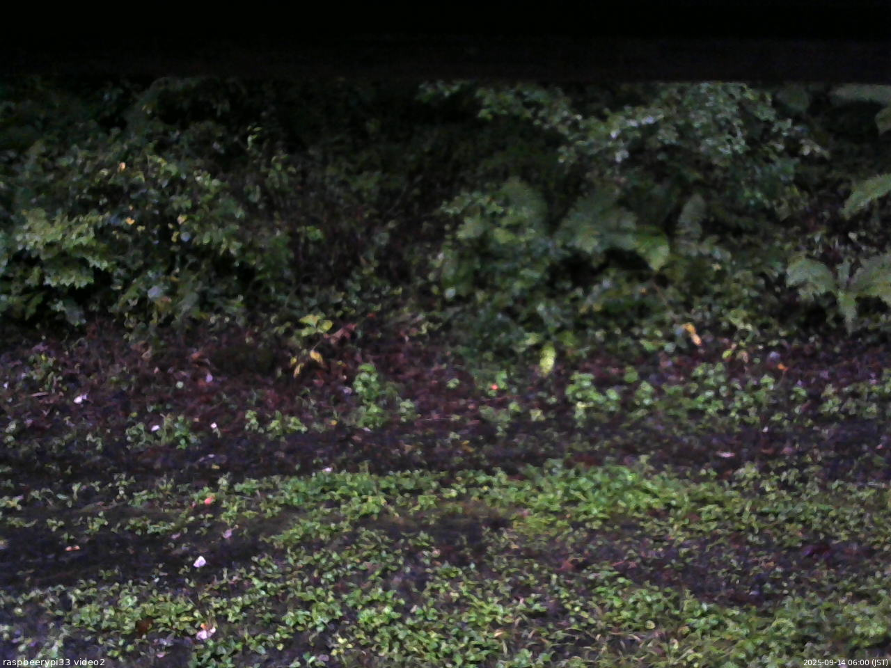 長野県菅平高原 ゆたか山荘 南側 2025/09/14 06:00