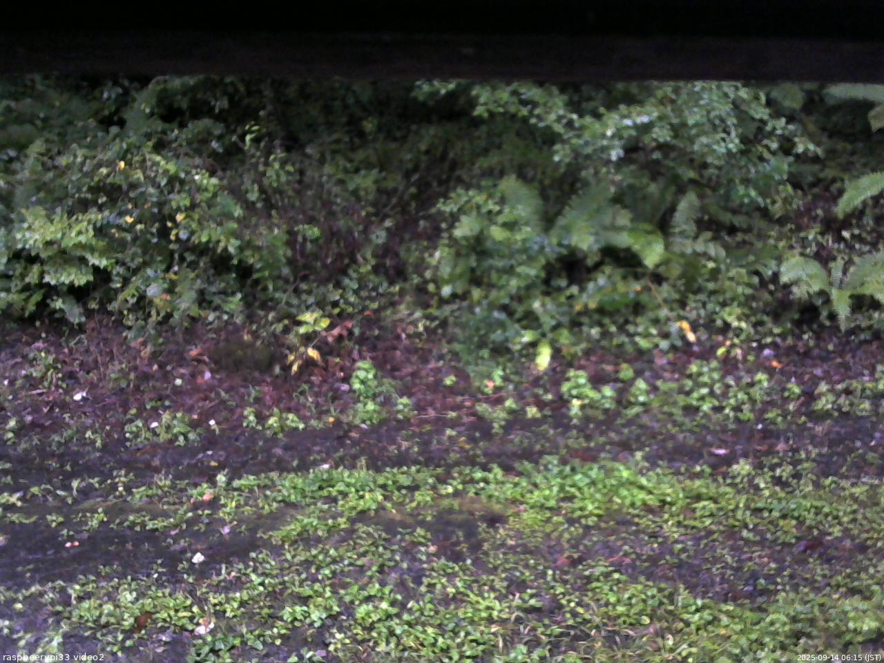 長野県菅平高原 ゆたか山荘 南側 2025/09/14 06:15