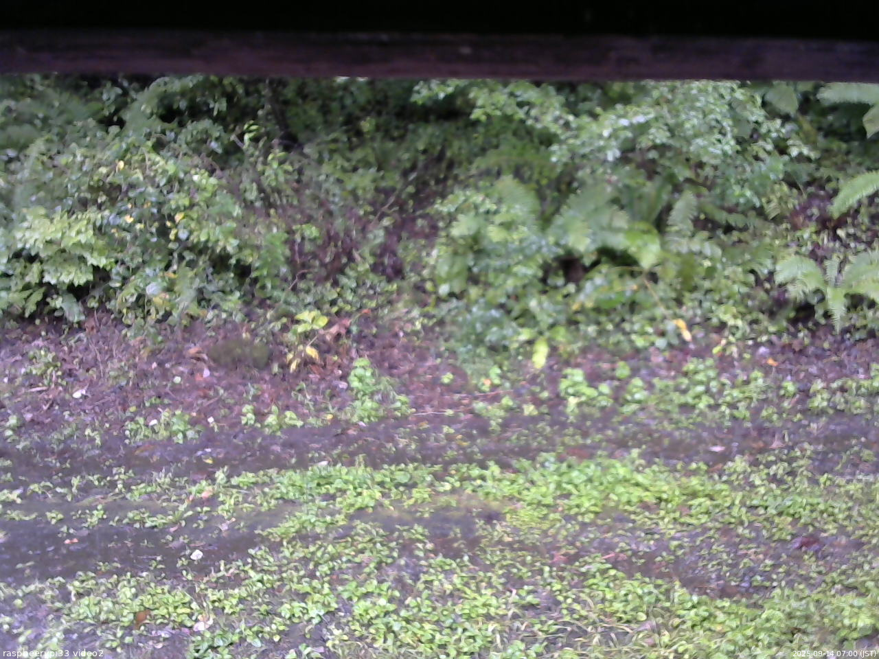 長野県菅平高原 ゆたか山荘 南側 2025/09/14 07:00