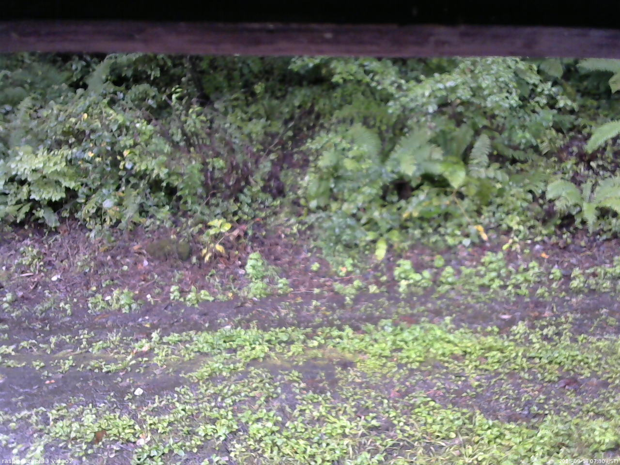 長野県菅平高原 ゆたか山荘 南側 2025/09/14 07:30